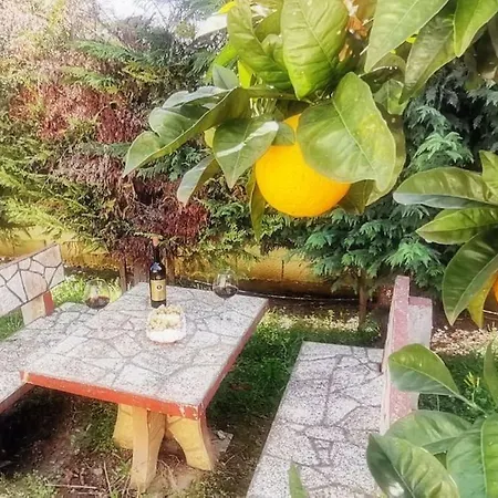 Ferienhaus Flori Prázdninový dům Durrës